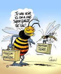 Images 6